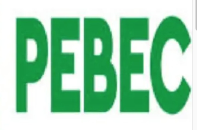 FG moves to calm concerns as PEBEC hosts foreign investors at Presidential Villa