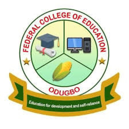 Center raises alarm over FCE Odugbo appointments