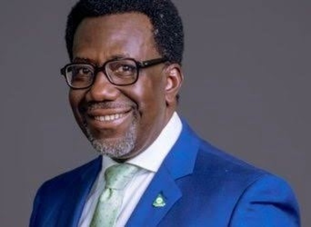 NAICOM directs insurers to link policies with NIN