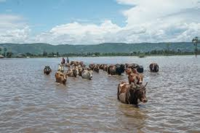 Torrential rains and flash floods kill at least 81 across Kenya