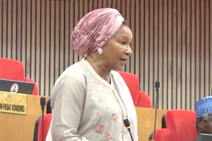 Nigeria facing ‘clear meltdown’ – Ireti Kingibe