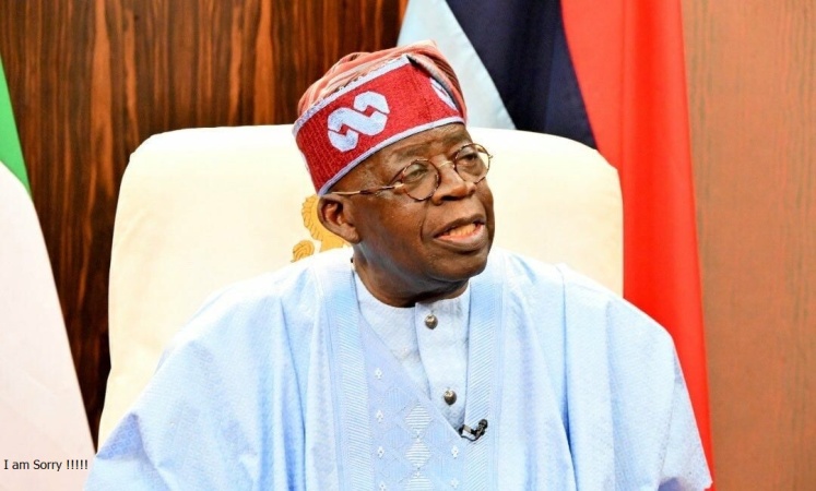 The Tinubu Enigma: Power, Strategy and the Nigerian State. Part One — The outsider who became the system