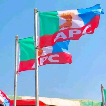Is Nigeria not morphing to a one-party state?