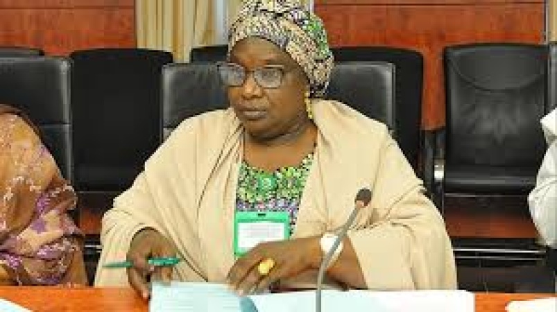 ‘Nigeria cannot prosper with youth lost to drugs’ — Balarabe hails Kaduna model