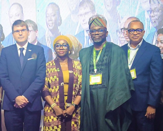 REA, FCMB, others launch $188 million fund to finance 191mw solar capacity  