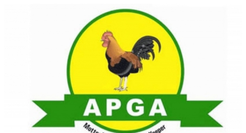 APGA primaries: Tales of discontent, gale of jubilation in Anambra