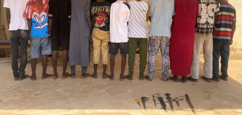 Police arrest 11 suspected Shilla gang members, recover weapons, illicit drugs in Adamawa