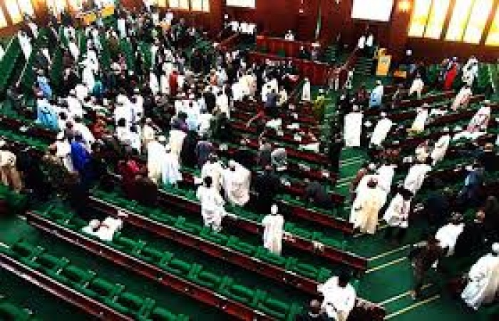 Rowdy session in House of Reps over alleged signature forgery in Minority Leader race