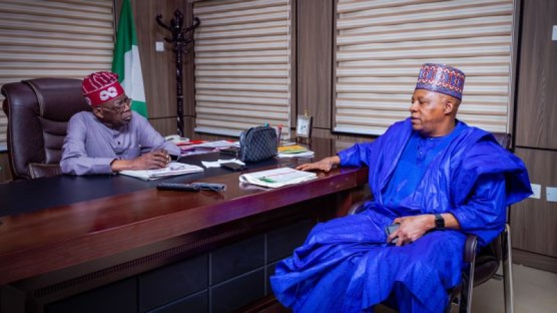 Nigeria's promise through the Tinubu-Shettima lens: Three years of Renewed Hope and Democratic Progress