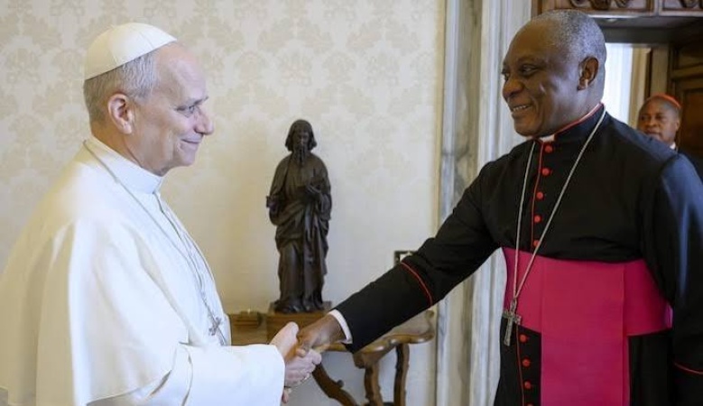 Pope Leo appoints Nigeria’s Archbishop Martins to Vatican Dicastery
