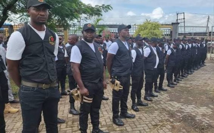 SASA destroys hard drugs worth over N50m in Anambra