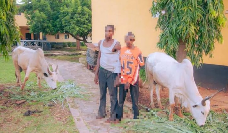 Police foil kidnap plot, arrest two suspects, recover stolen cattle in Ekiti