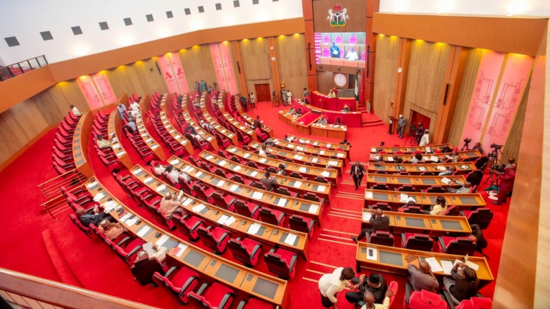 Senate rejects bid to probe ‘Phantom’ Council budget