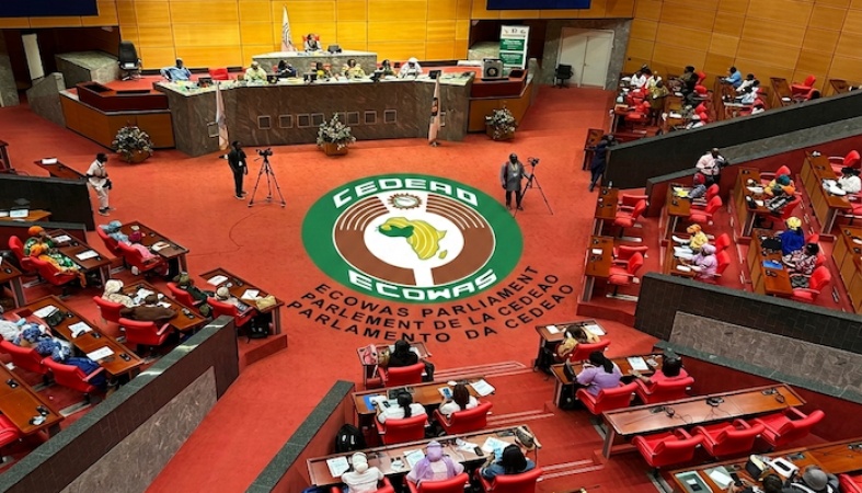 ECOWAS calls for more jobs to tackle irregular migration