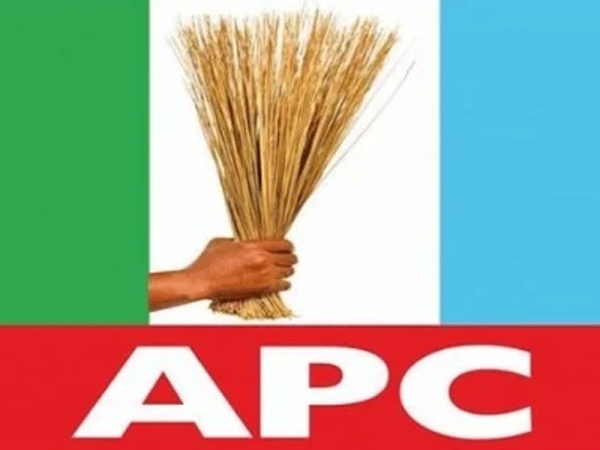 APC youth wing announces N17.5m grants for young professionals in energy sector