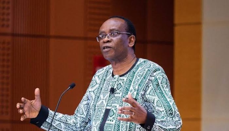 Bassey warns against extractive economy, calls for community-led environmental protection
