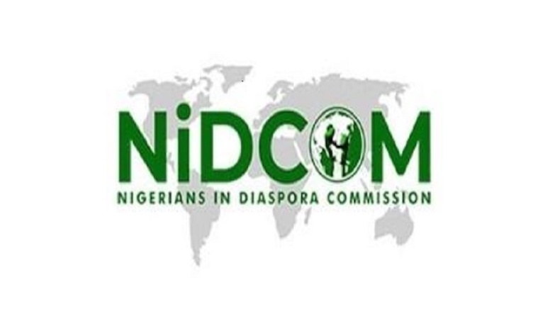 FG, partners turn to diaspora to rebrand Nigeria and drive tourism investment