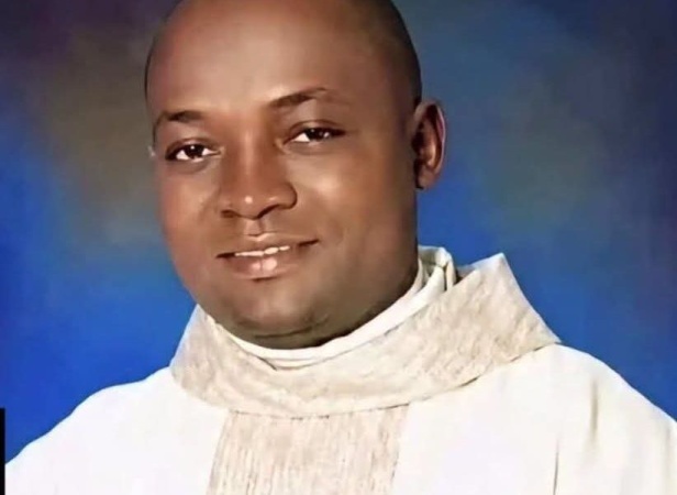 Ogebe to FG, NiDCOM: Assist Nigerians detained by US immigration authorities
