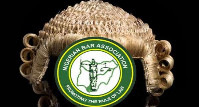 DSS, Foreign Observers To Monitor NBA Election As President Allays Rigging Fears