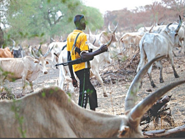 Villagers flee as teenager killed, cattle rustled in fresh Benue attack