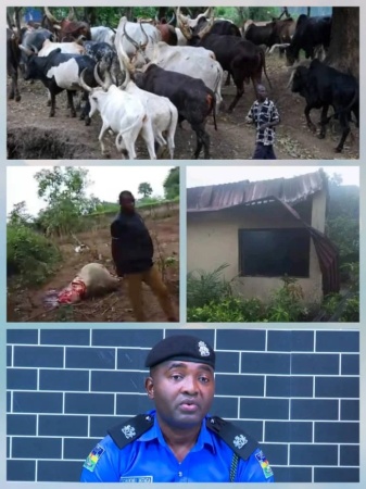 Police investigate deadly attack on Fulani settlement in Anambra