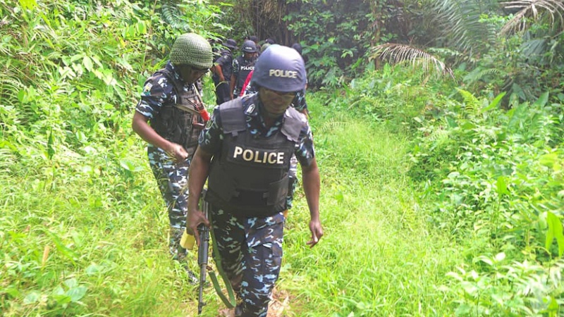 Panic as masked gunmen torture Ekiti farmer over missing brother