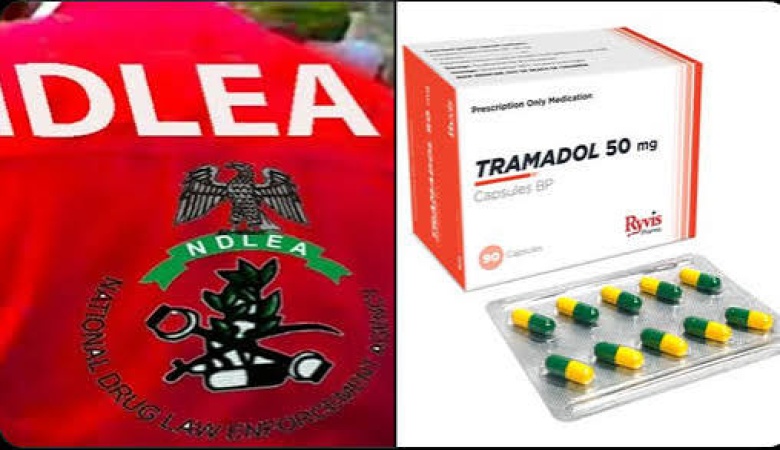 Two billion tramadol pills seized in 18 months – NDLEA