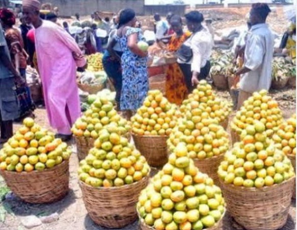BIPC warns against movement of oranges out of Benue 