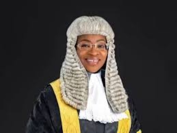 SHOCKER: Only about 15 per cent of Nigerian judiciary is clean — Senator Akinyede 