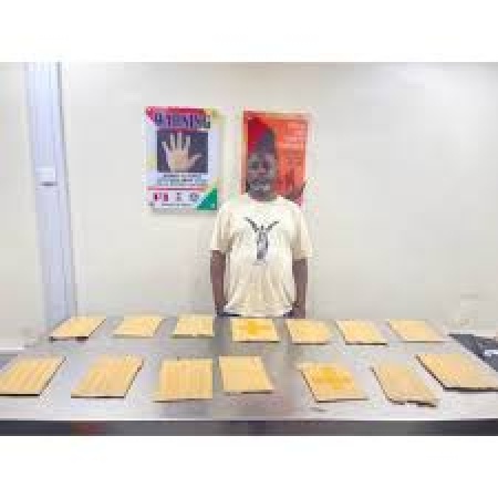 NDLEA intercepts N10bn worth of cocaine, others at Lagos ports
