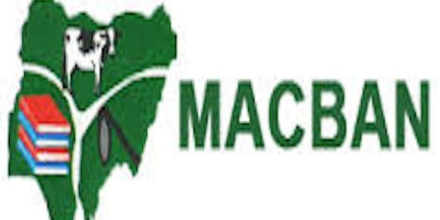 Two sons of South-East MACBAN chairman killed in reported attack on Enugu cattle camp