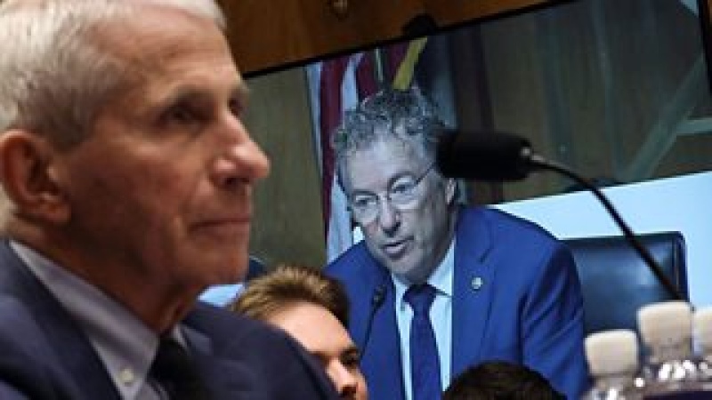 Fauci to face contempt vote after refusing to answer Covid questions in Congress