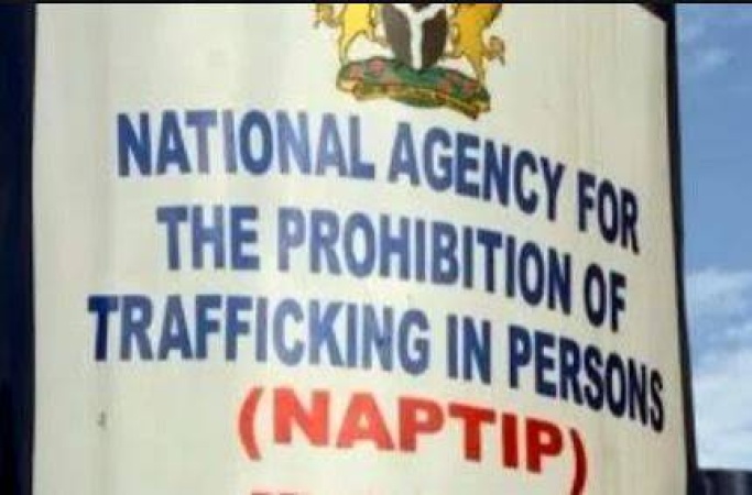 Kaduna Taskforce warns against fake online job offers, cyber trafficking