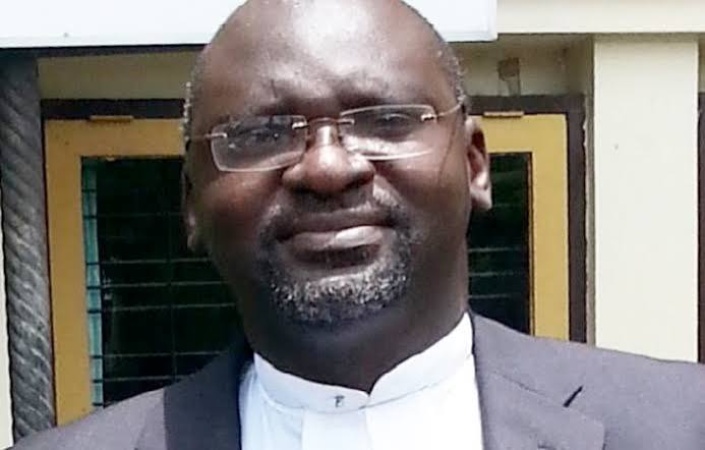 Diaspora increasingly shaping Nigeria’s politics despite lack of voting rights — Ogebe