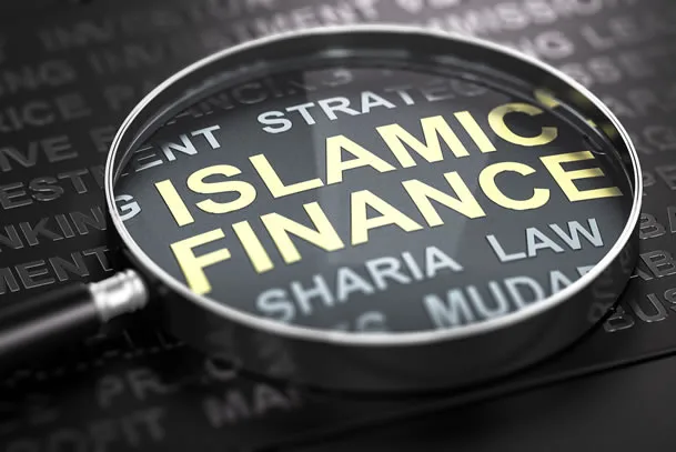 Islamic finance key to ending Northern Nigeria’s financial exclusion – OIC