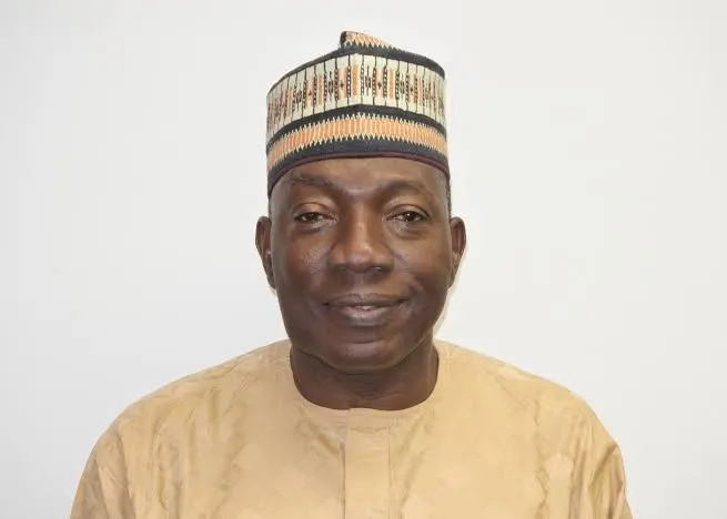 Nigeria won’t develop with unending heavy borrowing — Former envoy