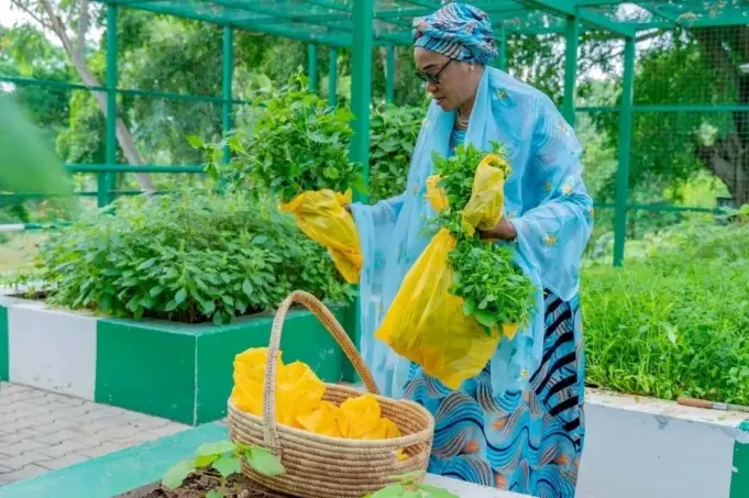 Remi Tinubu displays waterleaf, pumpkin harvested from Villa garden