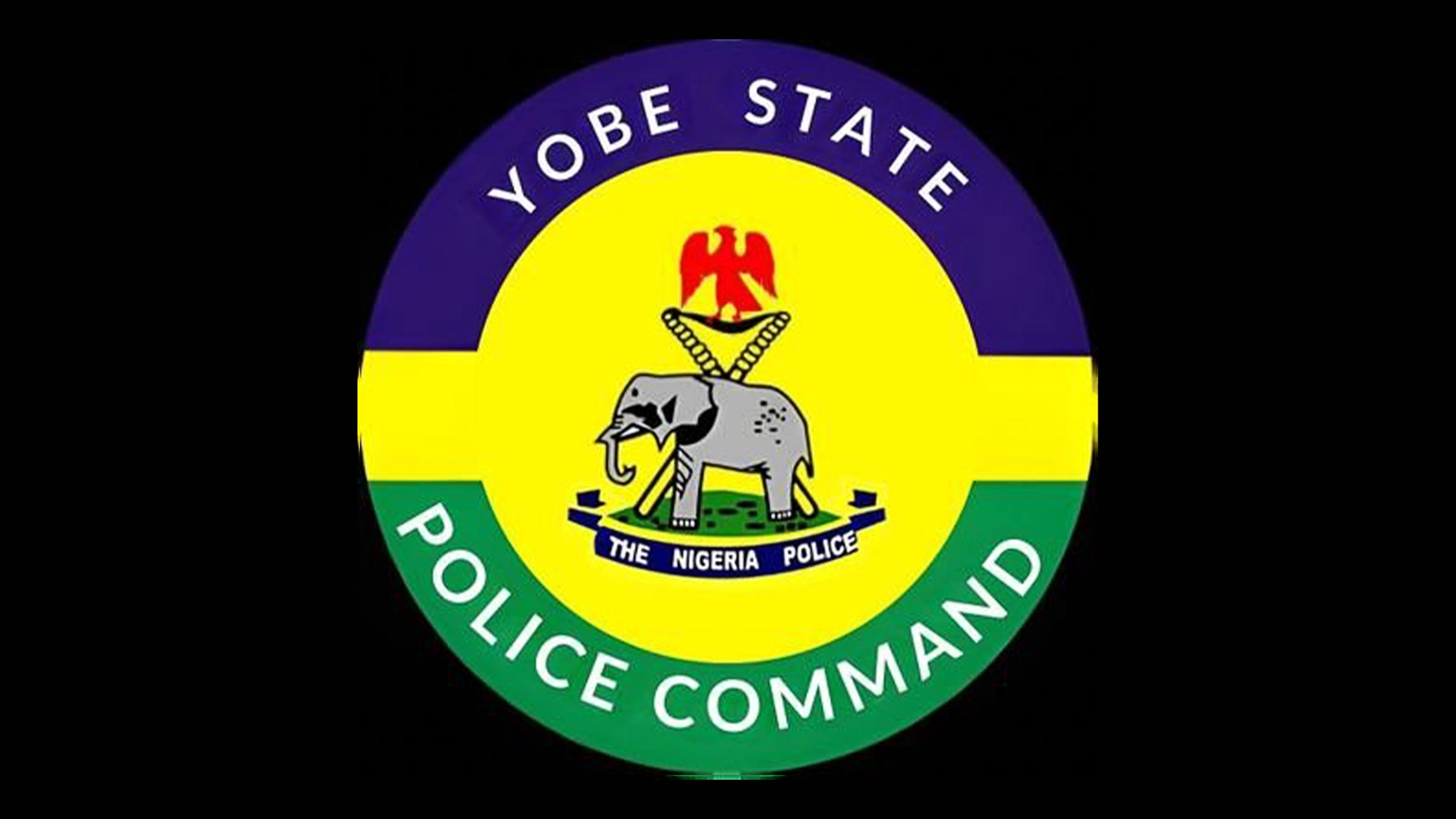 Yobe police foil abduction attempt, rescue four women, children in Fika community