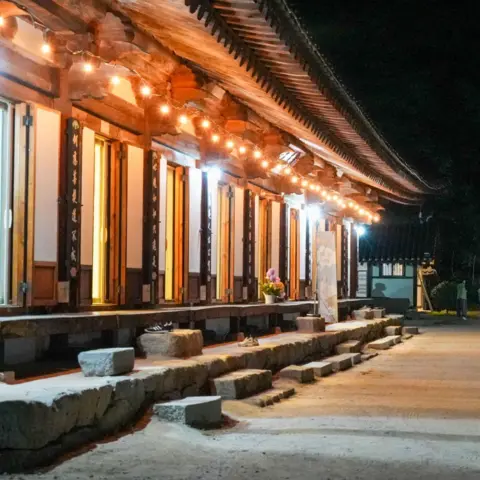 Twelve men and 12 women enter a Buddhist temple - will the monks help them find love?
