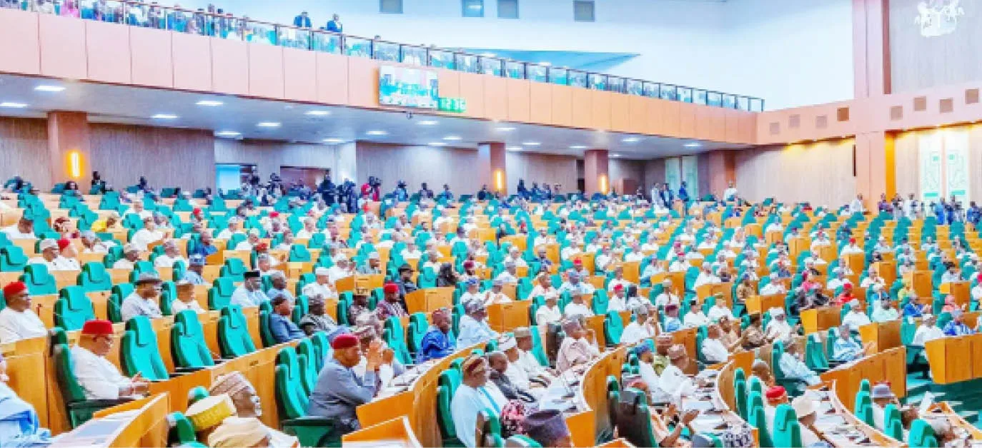Reps to invite budget minister over ‘phantom’ council