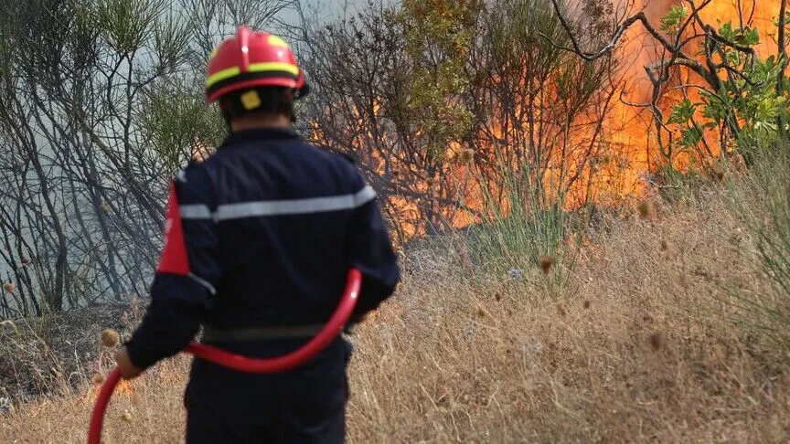 Algeria battles 119 wildfires, farm, and palm grove blazes in 24 hours