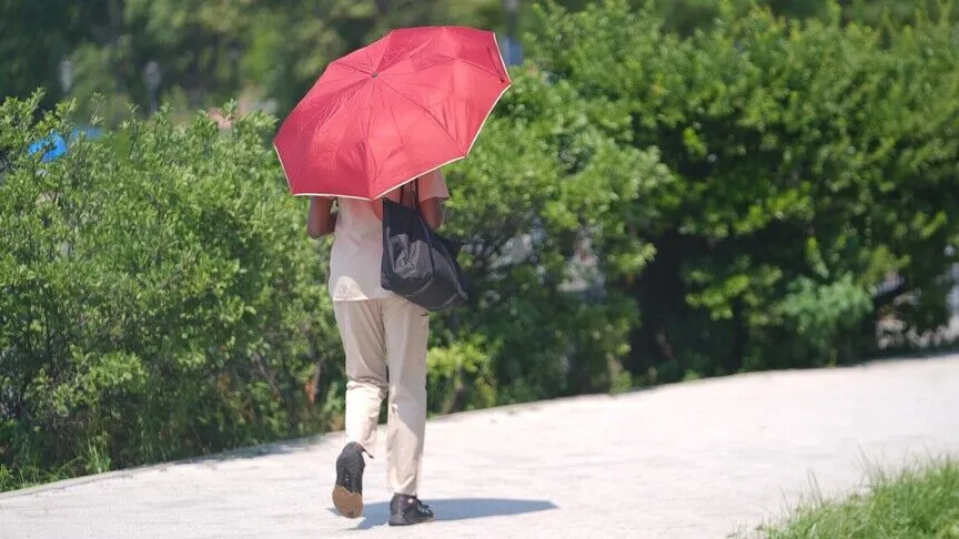 Belgium records around 2,000 excess deaths amid heat wave
