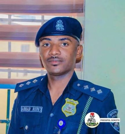 Police foil bandit attack, recover 43 rustled sheep in Sokoto community