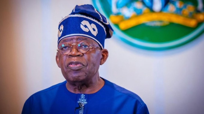 2027: Tinubu omits Primary, Secondary school qualification in INEC documents
