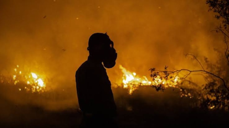 Powerful El Nino to intensify heat on ‘a planet already on fire’: UN