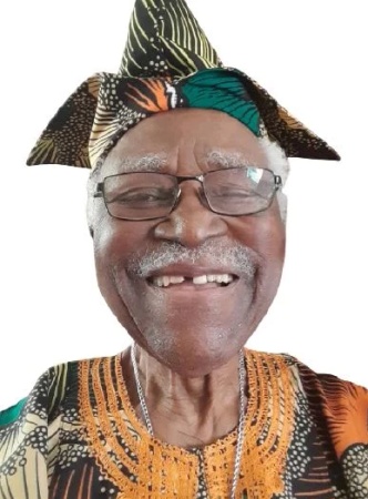 Why I pursued second PhD at 89 — NAS fellow, Prof Nwagwu