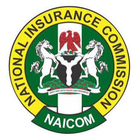 FULL LIST: 43 insurance firms scale recapitalisation hurdle
