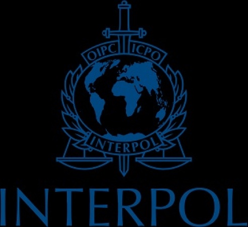 AI powers 55% of cybercrimes in Africa amid $484m losses — INTERPOL