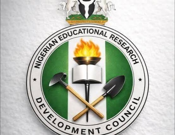 NERDC disowns fake funding request for revised basic education curriculum