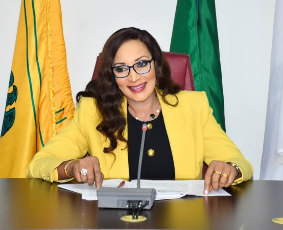 PFIPC probe: Bianca Ojukwu, FRSC boss, other to appear before Reps’ panel, Thursday